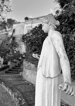 IMG_6733_edited.jpg