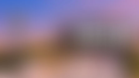 September 2025 APG Southeast Event Roundup