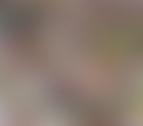 環保巨頭Stella McCartney加盟LVMH　可持續發展大勢!