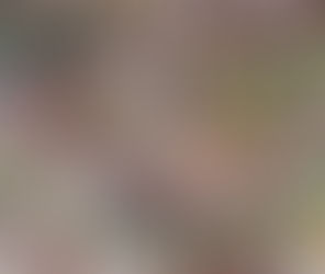 環保巨頭Stella McCartney加盟LVMH　可持續發展大勢!