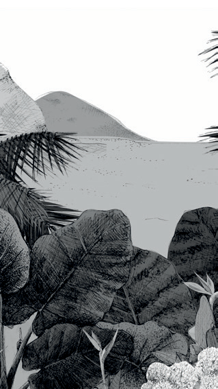 Painel de Parede Borneo B&W 2 – Grosfillex