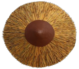 Cone Cape Reed