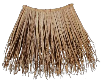 Módulo Makuti