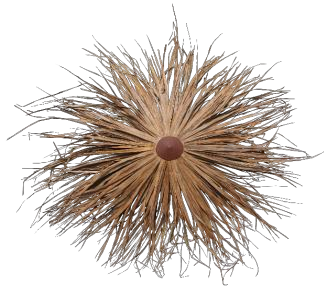 Cone Makuti