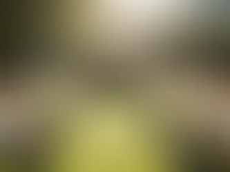 Crafting Short and Sweet Wedding Ideas for Your Intimate Celebration