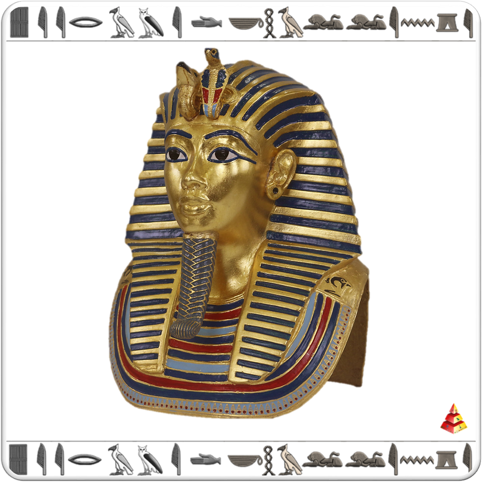 الصورة المصغرة: باقة 9