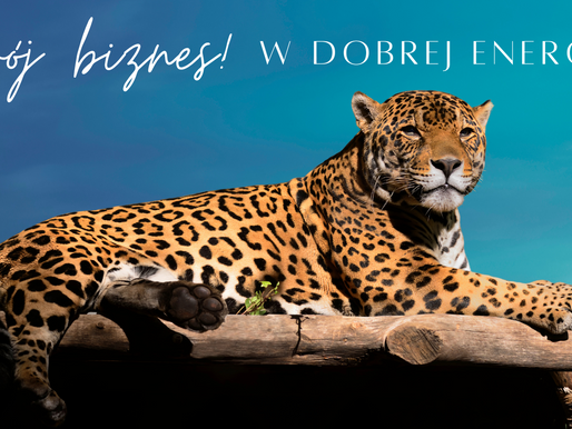 TWÓJ BIZNES W DOBREJ ENERGII
