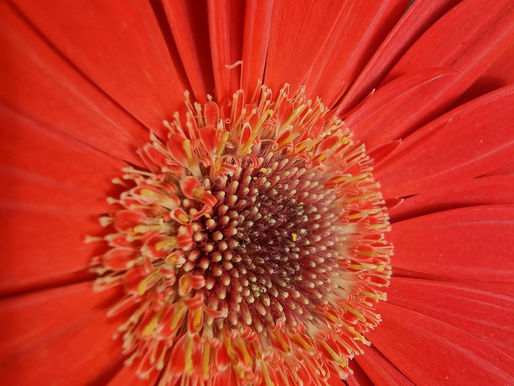 Miłość to jedyne życie jakie codziennie wybierasz.