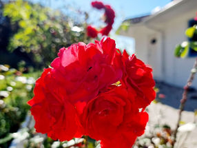 TWORZYSZ SIEBIE W KAŻDYM MOMENCIE