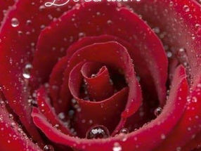 Docenianie to jeden z kluczowych elementów poczucia własnej wartości