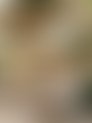 Did you know these Mumbai based restaurants are actually converted heritage properties?