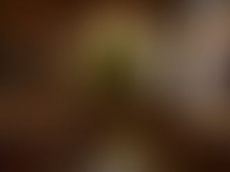 Bodega 39: Goregaon Finally Gets the Cocktail Bar It Deserves