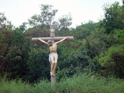 경북 군위 소보둥지