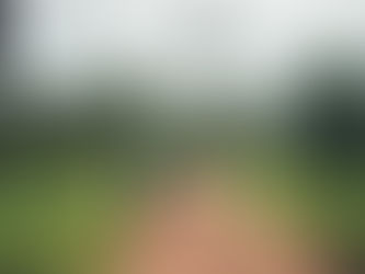 Featured in the Borgen Magazine