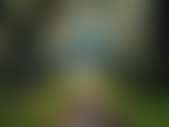 Explore Savannah's Ghostly Graveyards and Haunted Tours