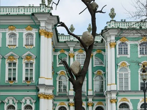 Giuseppe Penone. Ideas of Stone – 1372 kg of Light