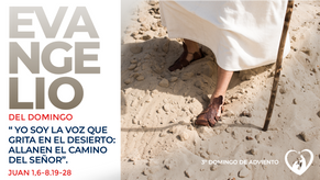 Evangelio del domingo: Juan 1,6-8.19-28