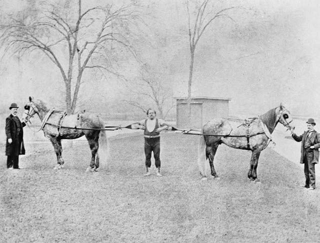 Louis Cyr ready to restrain horses, 1891