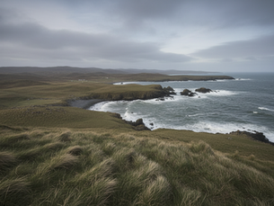 Falkland Islands History The Sovereignty Dispute Between Britain and Argentina