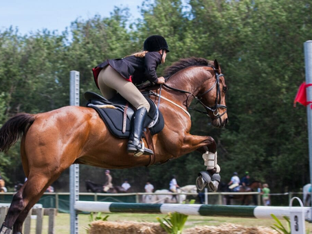 Experience Authentic Adventure with Horse Riding in Portugal