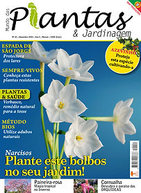 Design gráfico e paginação