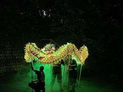 天毅體育會夜光龍表演
