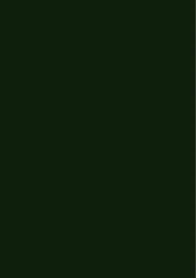 Copy of Skyler White.PNG