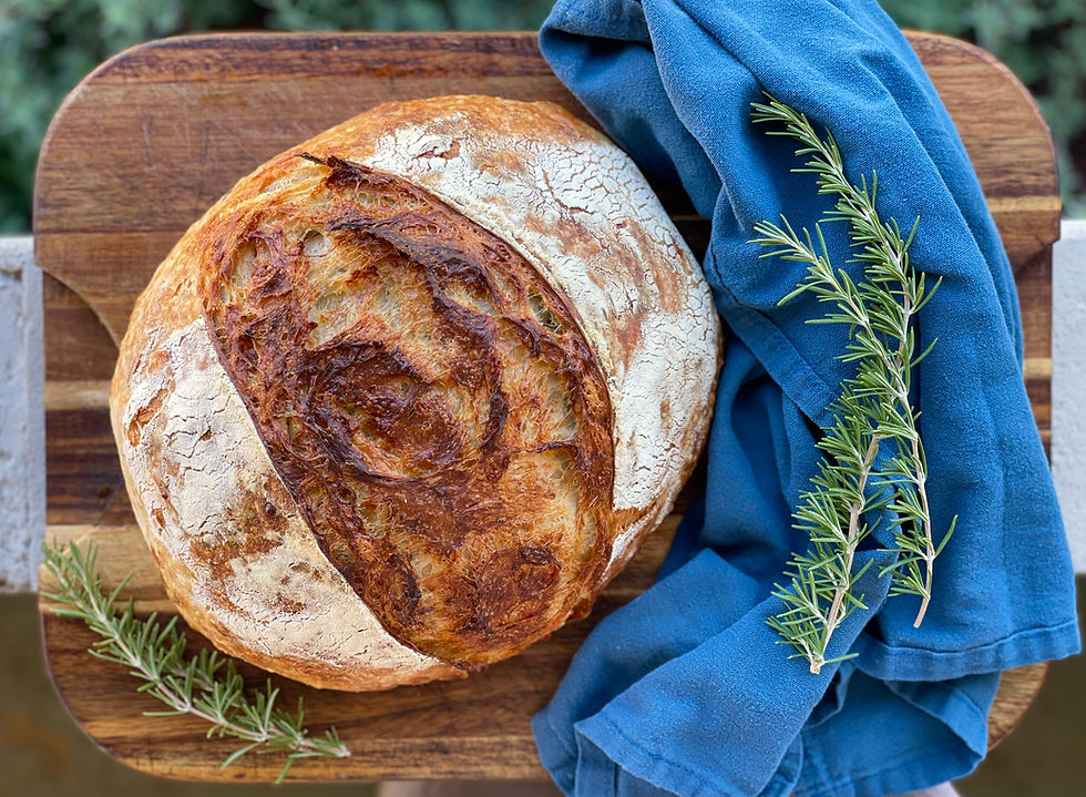 white cheddar and rosmery sourdough bread