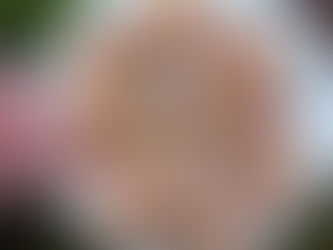 strawberry and white chocolate rice crispy treats