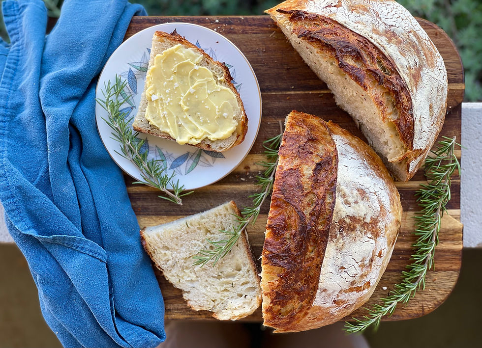white cheddar and rosmery sourdough bread