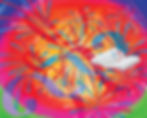 Illustration of fireworks exploding