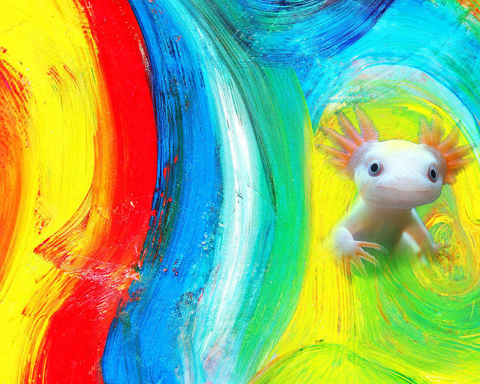 Axolotl against a rainbow background