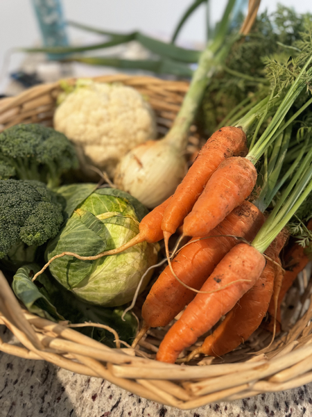 Fall is one of the best times to grow vegetables in East Texas, and many gardeners miss it entirely.