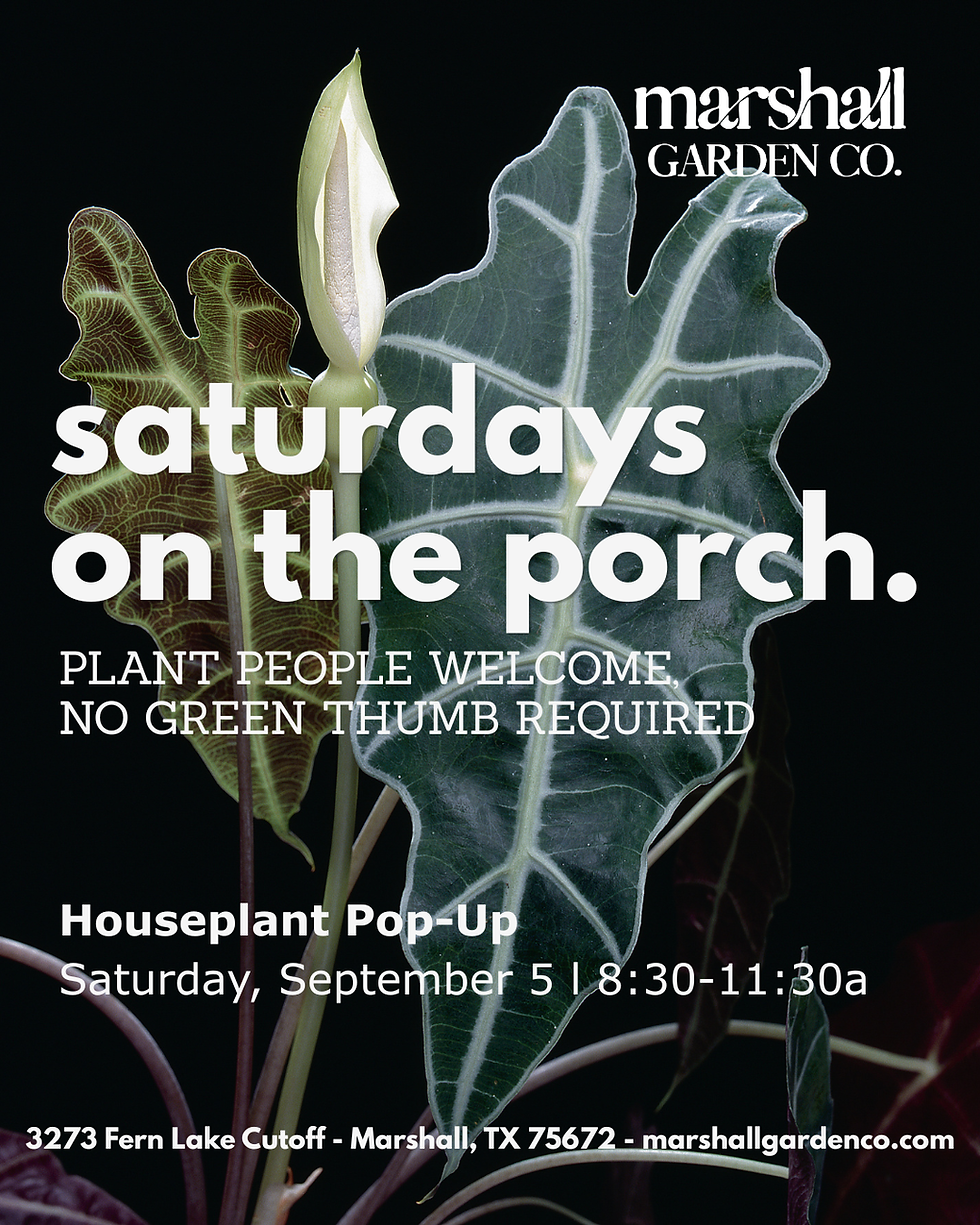 Sneak Peek: The Plant Gallery at the Marshall Garden Company