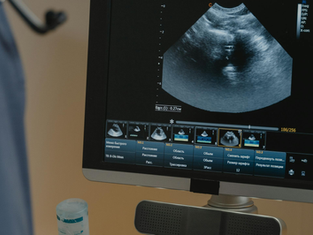 Doctors Need Medical AI They Can Understand
