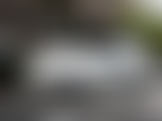 Tesla Leads China's Record Recall as Door Handles Become Technology News