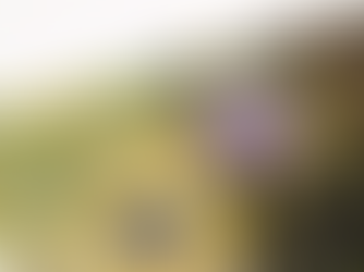 Intel Picks Lens Technology for a Glass Packaging Test, but Production Is Not Guaranteed