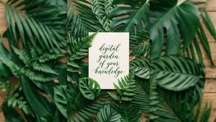 What Is a Digital Garden? 2026 Guide for Knowledge Workers