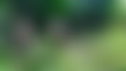DeepSeek V4 Is Coming: 1 Trillion Parameters, Open Source, and Running on Huawei Chips