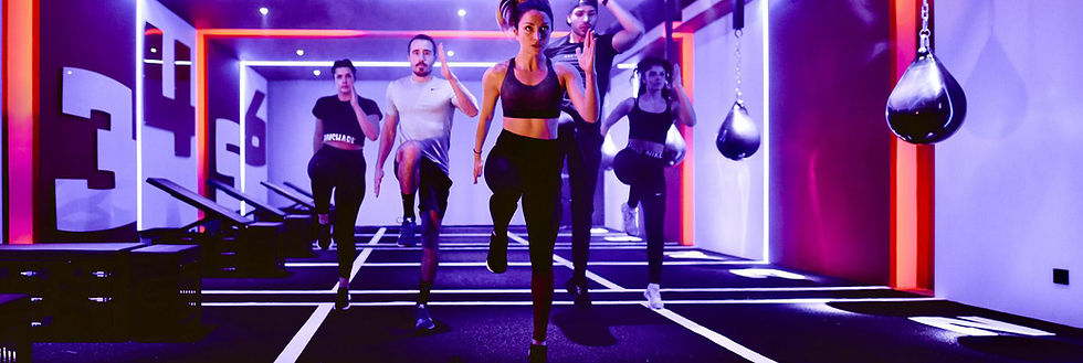 One Fitness Club, France