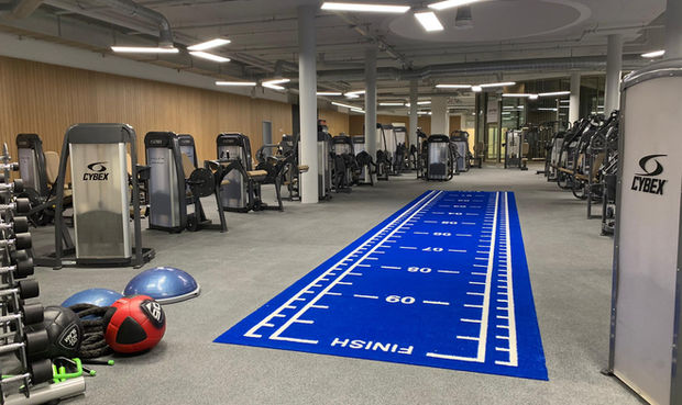Artificial grass Turf Indoor & Outdoor for functional training and work with sled