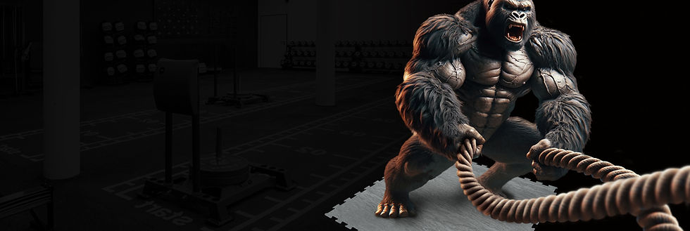 Fitness Beast Flooring