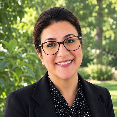 Afsaneh Amiri