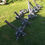 Thumbnail: Plastic Venturi Aerators (bulk)