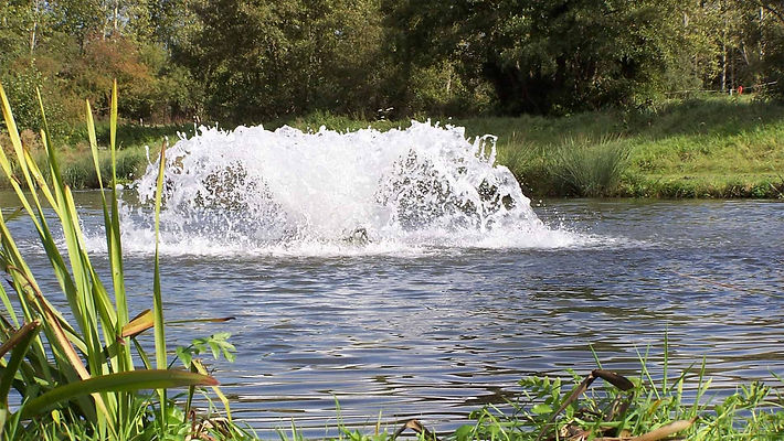 Flobull Aerator