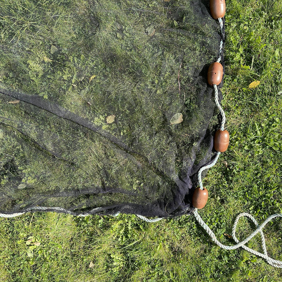 Thumbnail: Fry Nets 20x2.5m