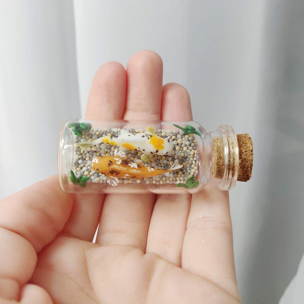 Thumbnail: Two koi fish / Bottle Art