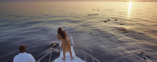 dolphin cruise.jpg