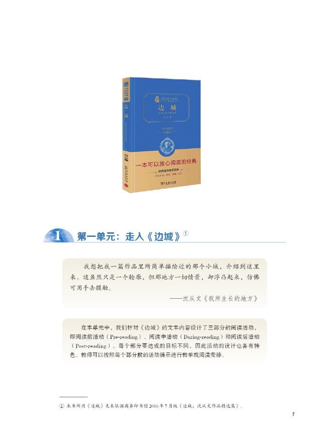 Thumbnail: Border Town, In-depth Reading (Teacher's Book)