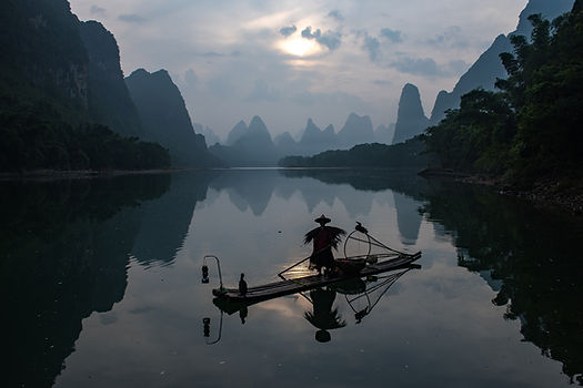nature-g64bcfe4a4_1920.jpg